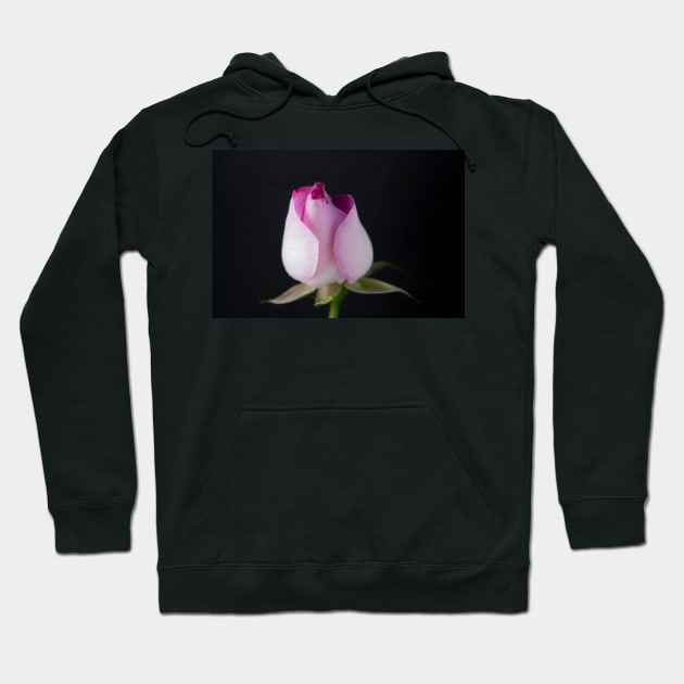 Pink rose Hoodie by Drawingbreaks